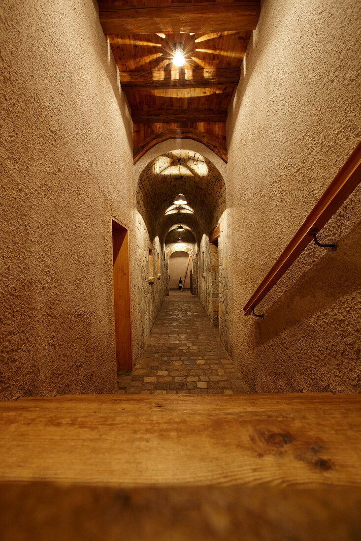 Stairs to food cellar in Pretzhof, Italy