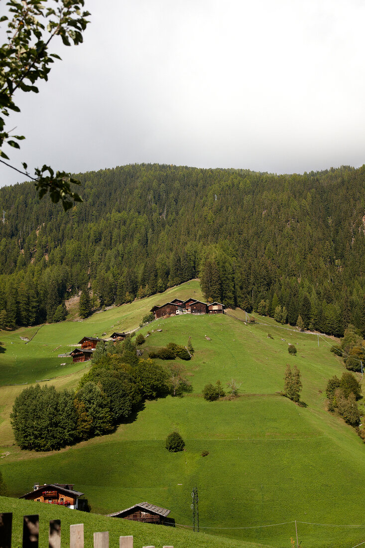 Blick auf das Ultental in Südtirol 