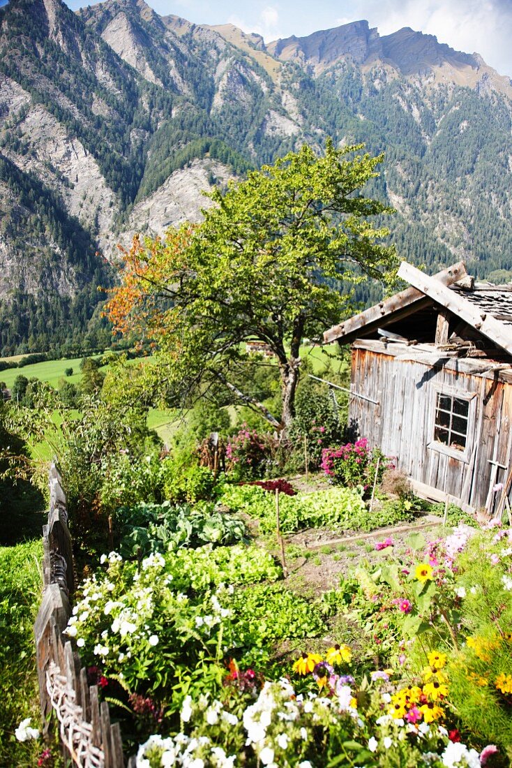 Gemüsegarten vom Pretzhof, Südtirol