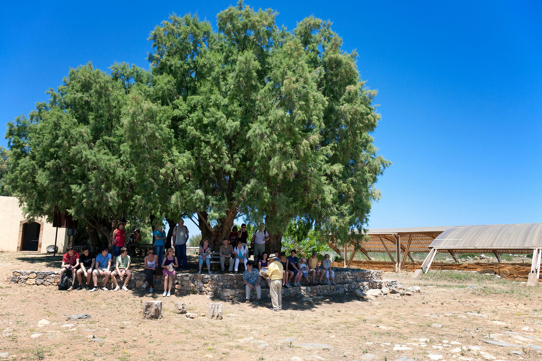 Tourist under tree near ruin Malia Minoan Palace in Crete, Greece