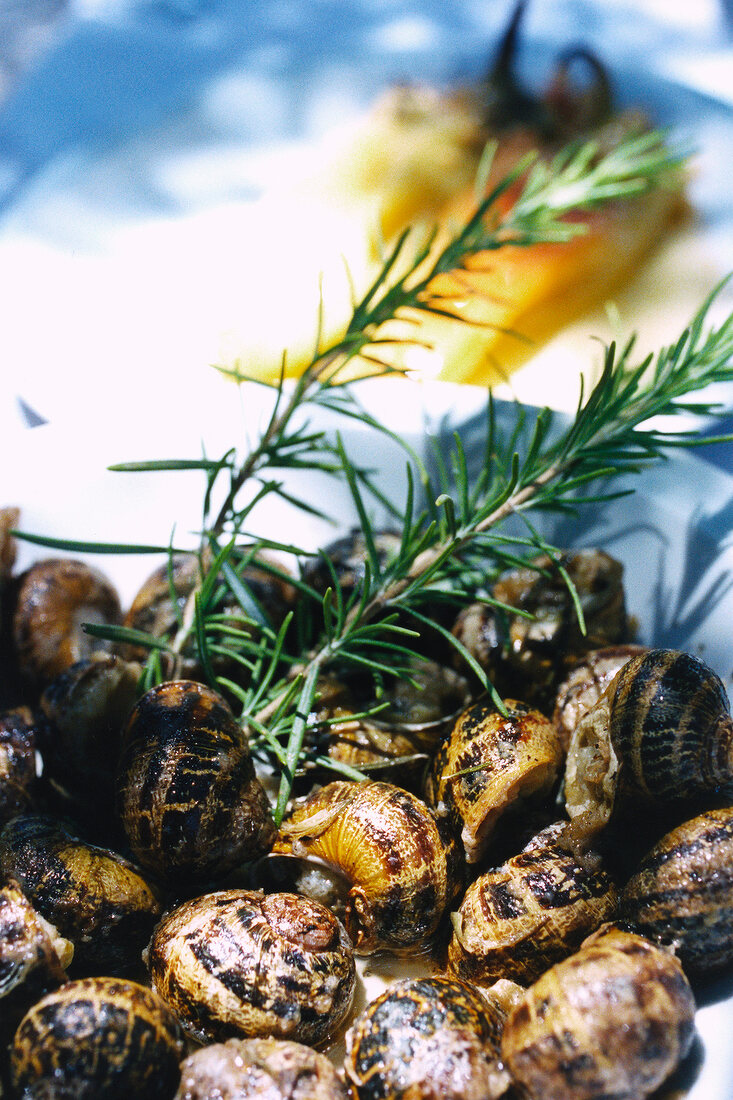 Close-up of schnorkel snails on plate