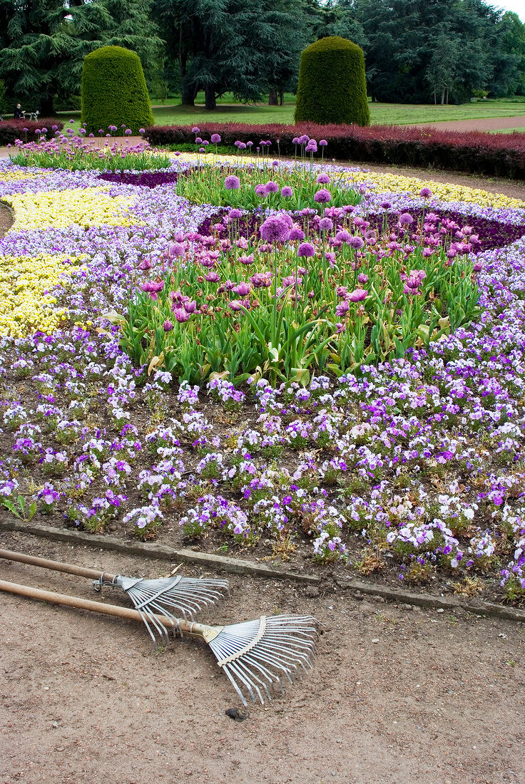 Flower beds in park with garden rack