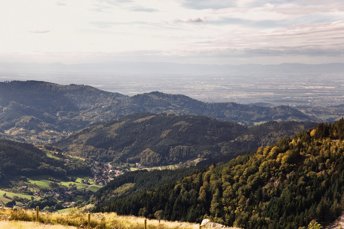 Schwarzwald: Blick über Achertal, Hügellandschaft, Wälder, sommerlich