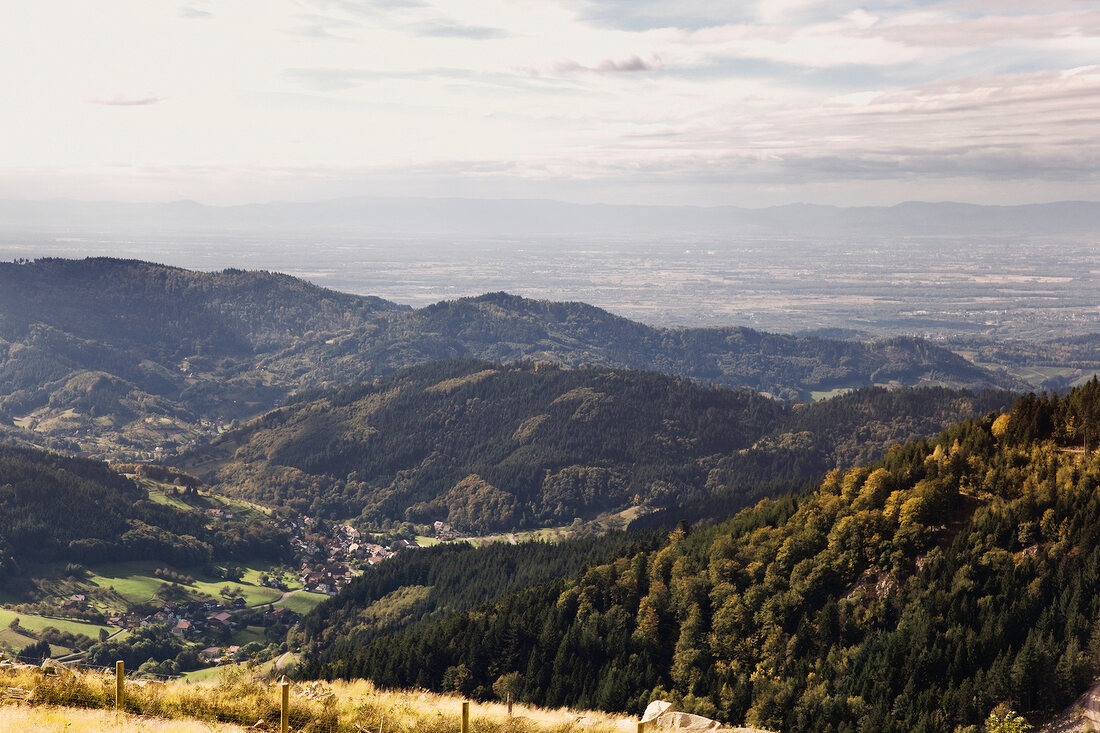 View of Achertal hills and forests in summer, Black Forest, Germany