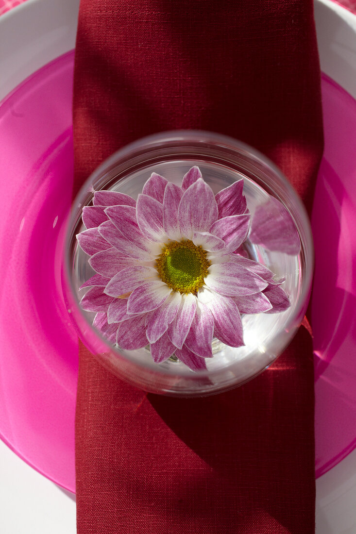 Close-up of flower in glass with wine glass by side on pink cloth