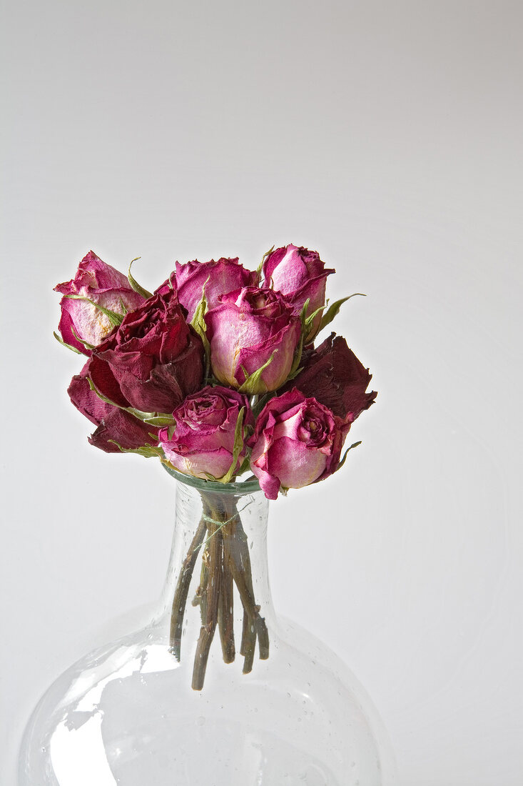 Close-up of dried pink roses in glass vase