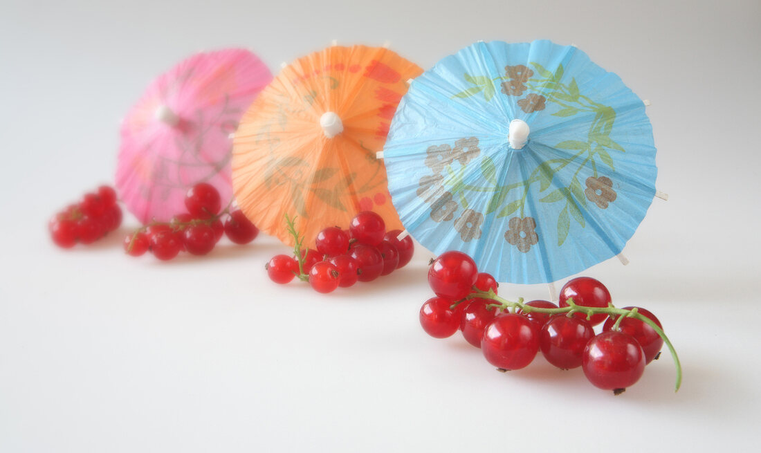 Decoration umbrella with red currants on white background