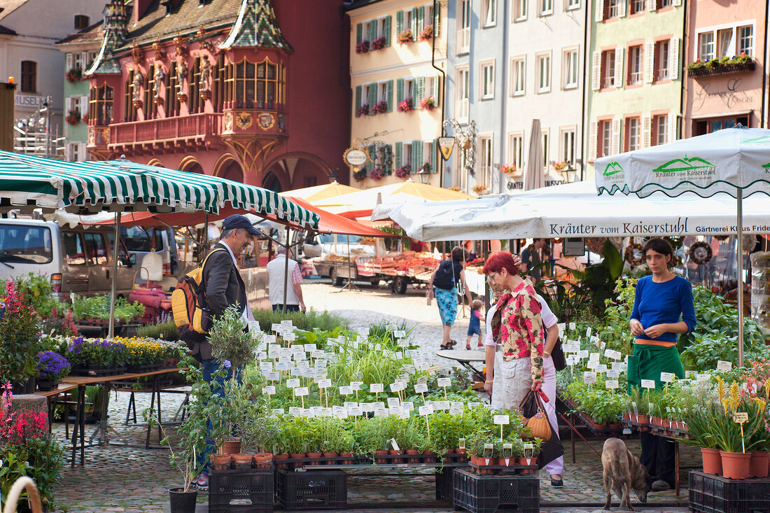 People in market stalls at Cathedral Square in Freiburg, Black Forest, Germany