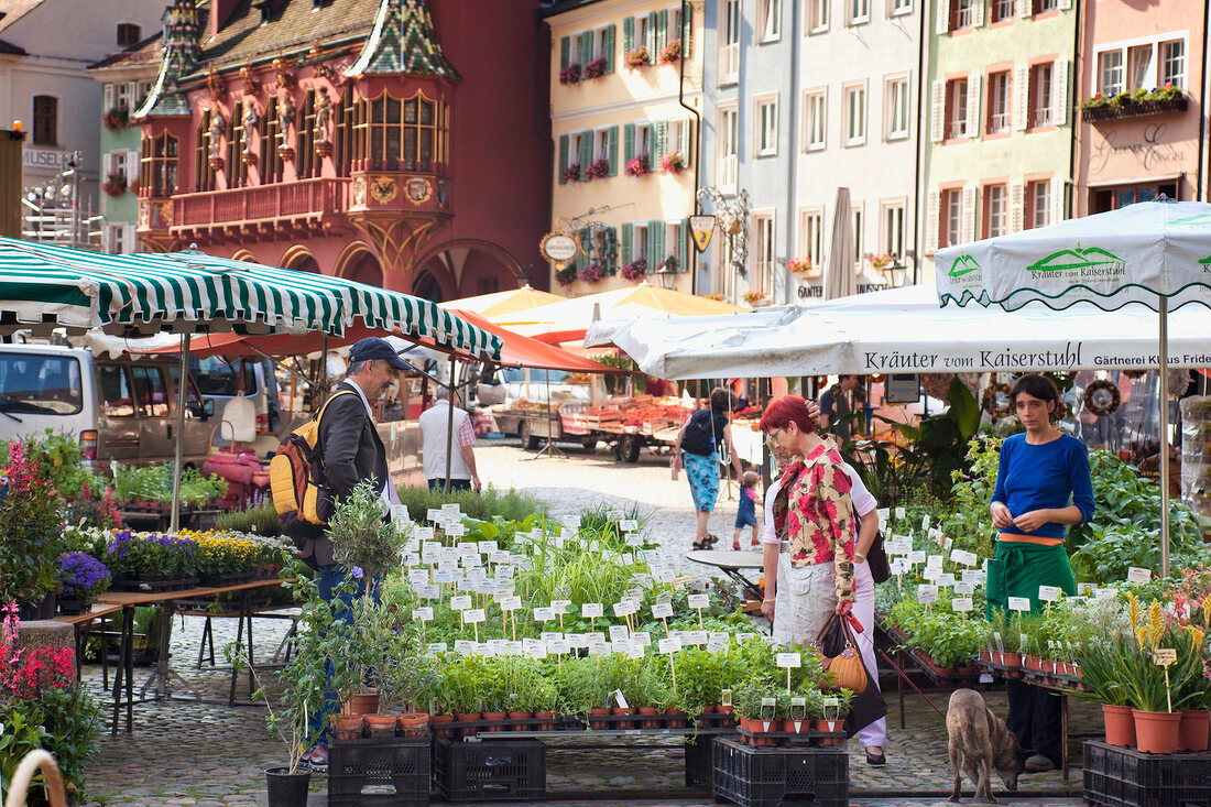 Schwarzwald: Freiburg, Münsterplatz, Marktstände