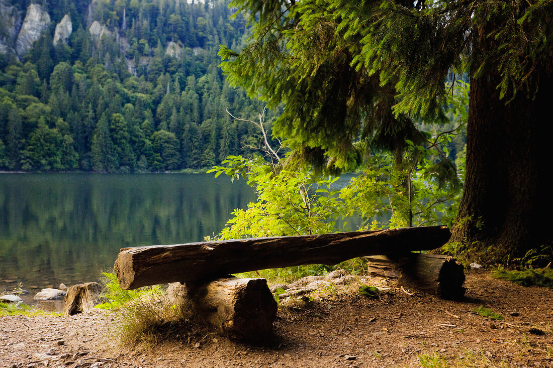 View of Karsee lake and trees with mountain in Black Forest, Germany