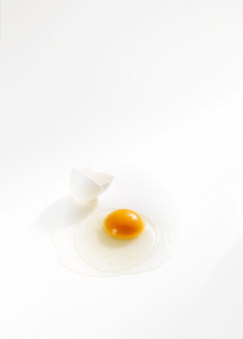 Hatched egg on white background