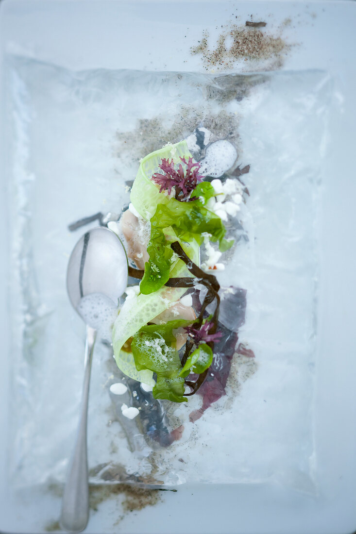 Close-up of seaweed with spoon