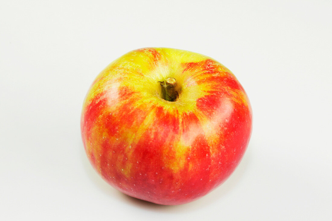 Close-up of red gravenstein apple on white background