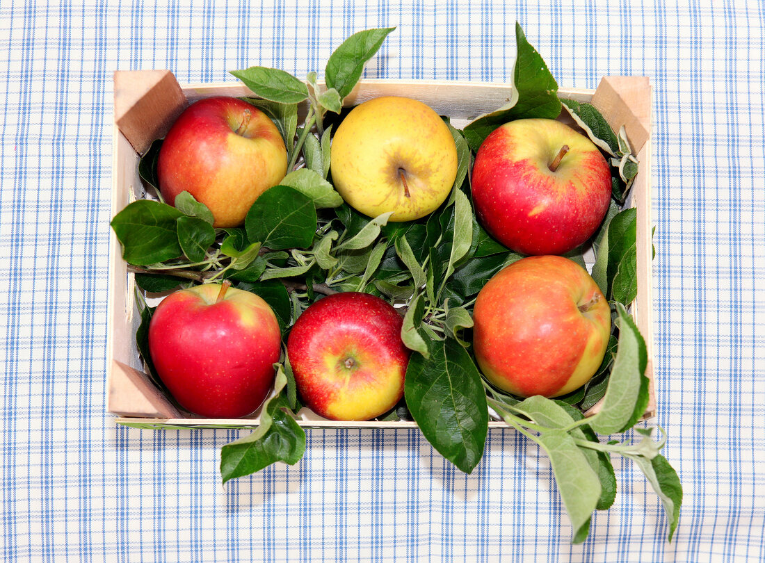 Different varieties of apples in box, overhead view