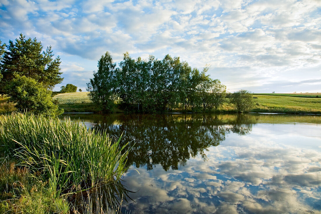 View of landscape, willow trees and reflection of clouds in lake, Saxony, Germany