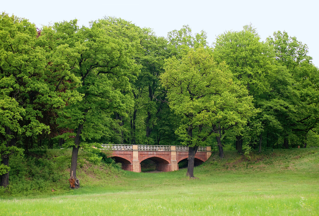 View of trees and bridge at Bad Muskau Muskauer Park, Saxony, Germany