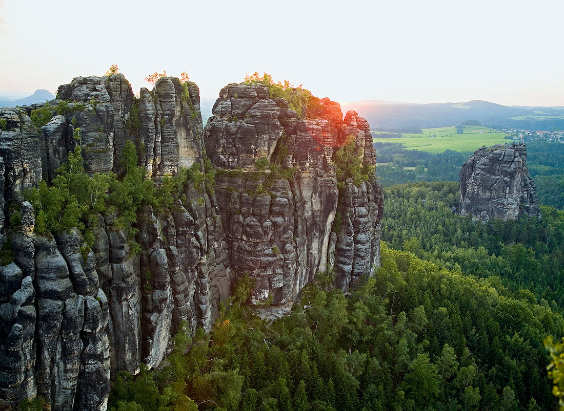 View of rocks and forest at dawn, Switzerland