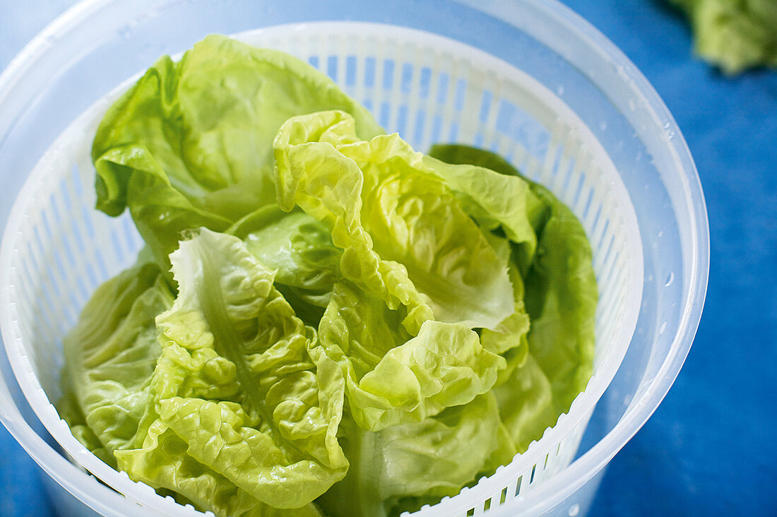 Close-up of dry green salad in salad spinner