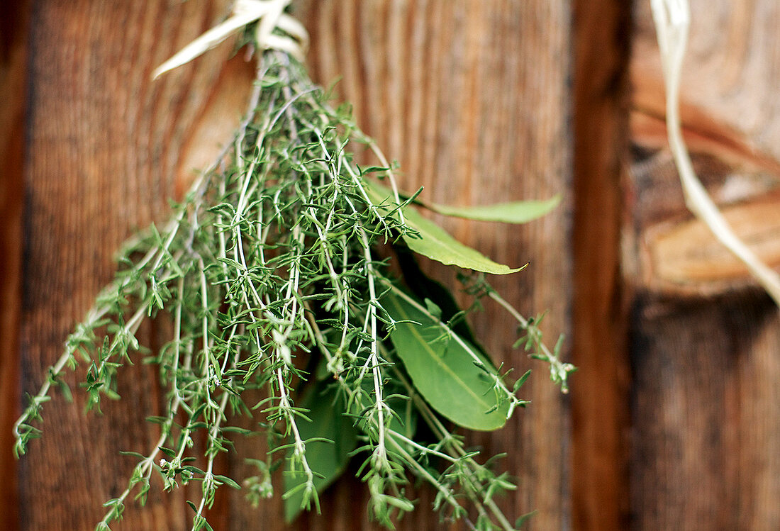Close-up of herbs in bunches