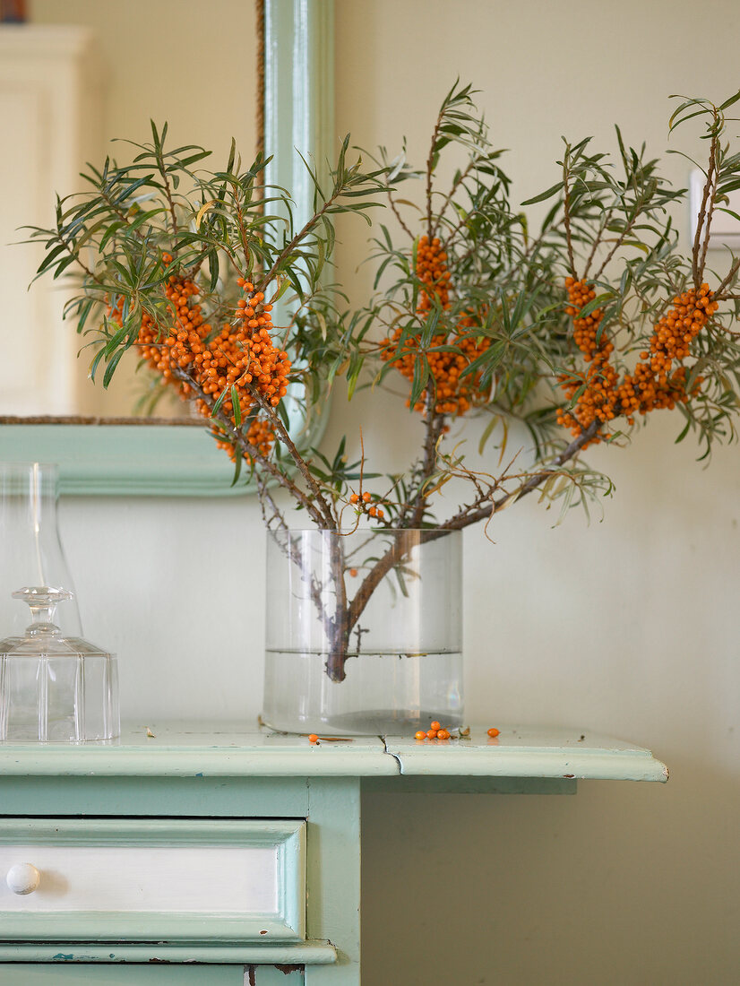 Close-up of branch of sea buckthorn in a vase on table