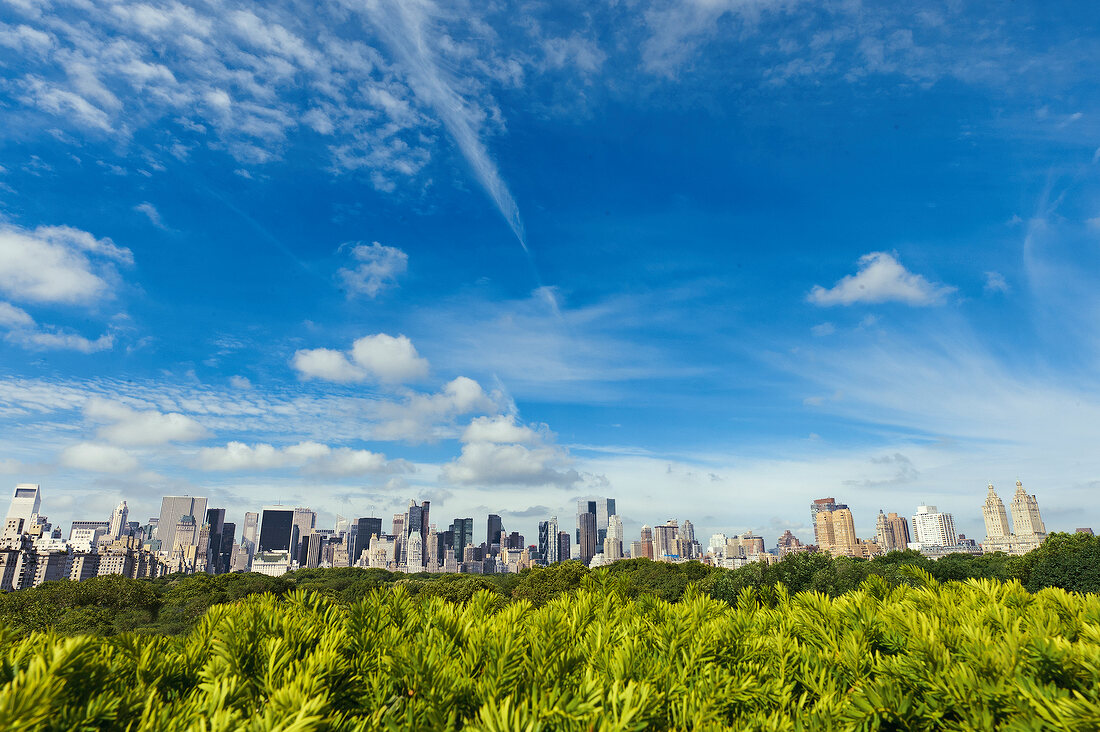 View of park and skyline from Metropolitan Museum of Art, New York, USA