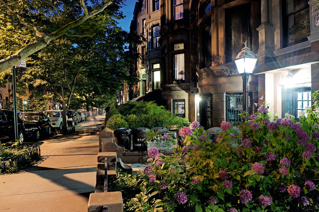 Park Slope with street lights at night, New York, USA