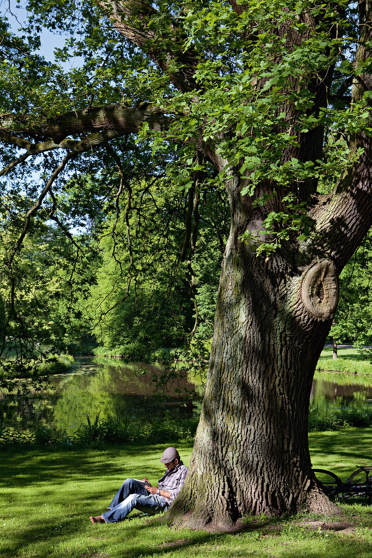 Bremen: Bürgerpark, Mann sitzt am Baum, sommerlich, idyllisch
