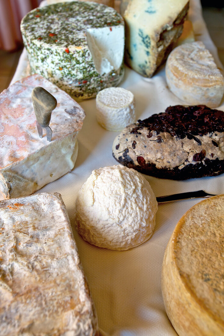 Different types of cheese in Piedmont, Italy