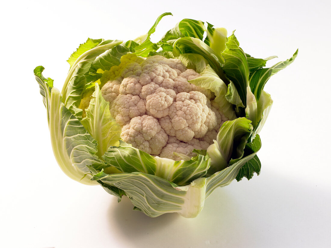 Close-up of cauliflower on white background