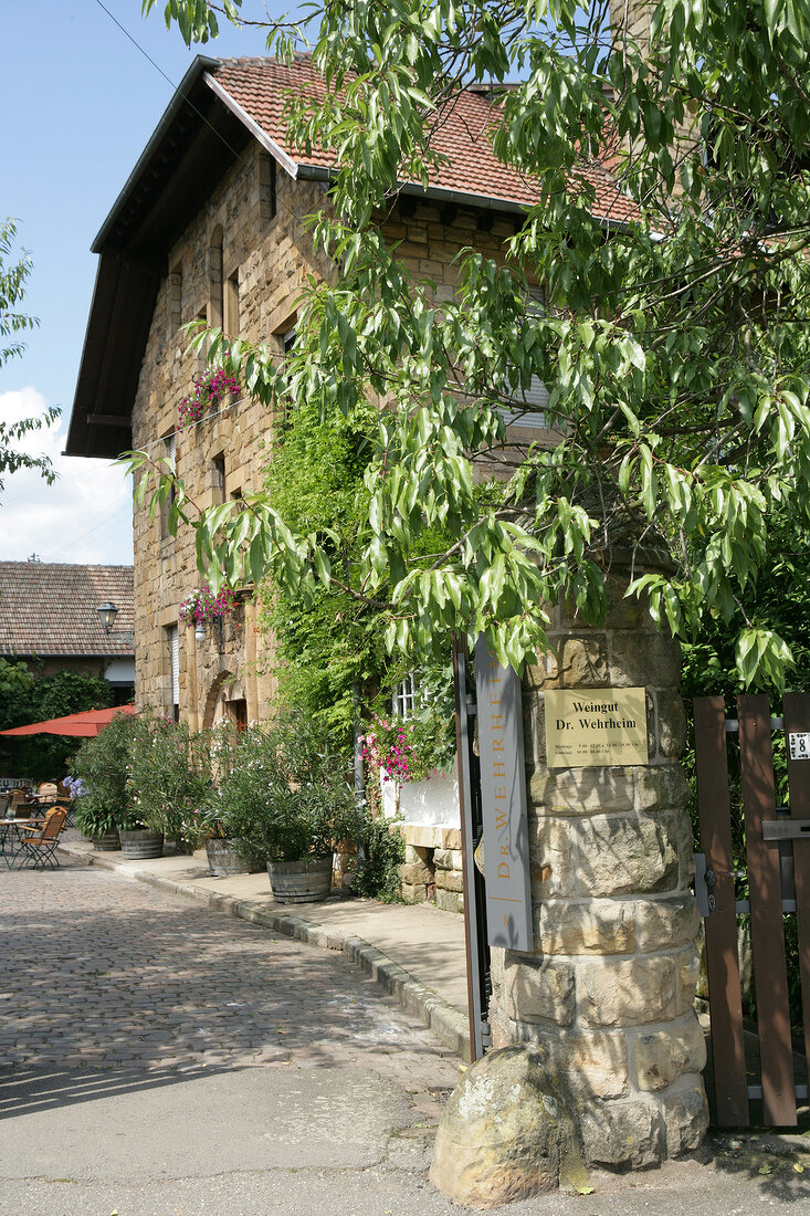 Dr Wehrheim Weingut Pfalz