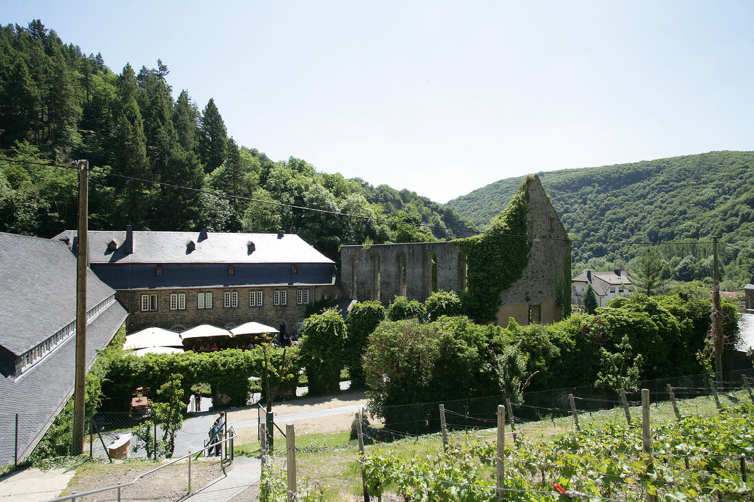 Kloster Marienthal Weingut Ahr