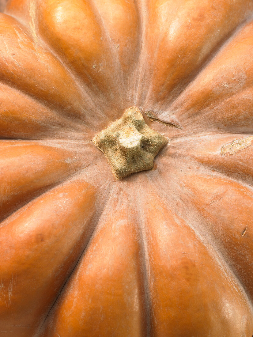 Close-up of pumpkin, elevated view