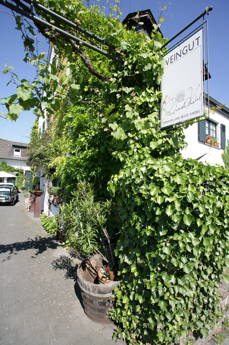 Knebel Weingut Mosel