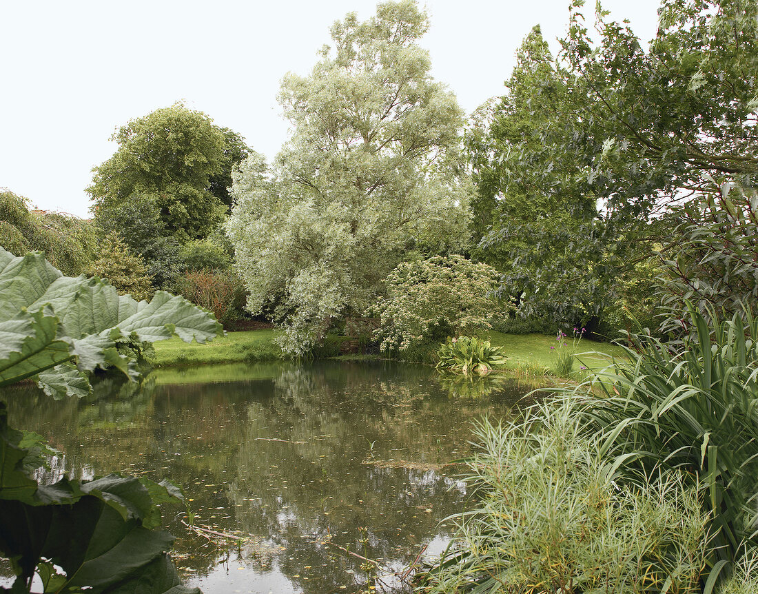 View of large pond surrounded by garden in England