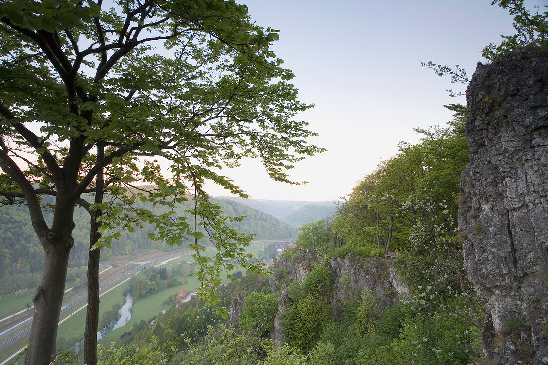 View of trees in Nature Park at Franconian Switzerland, Bavaria, Germany