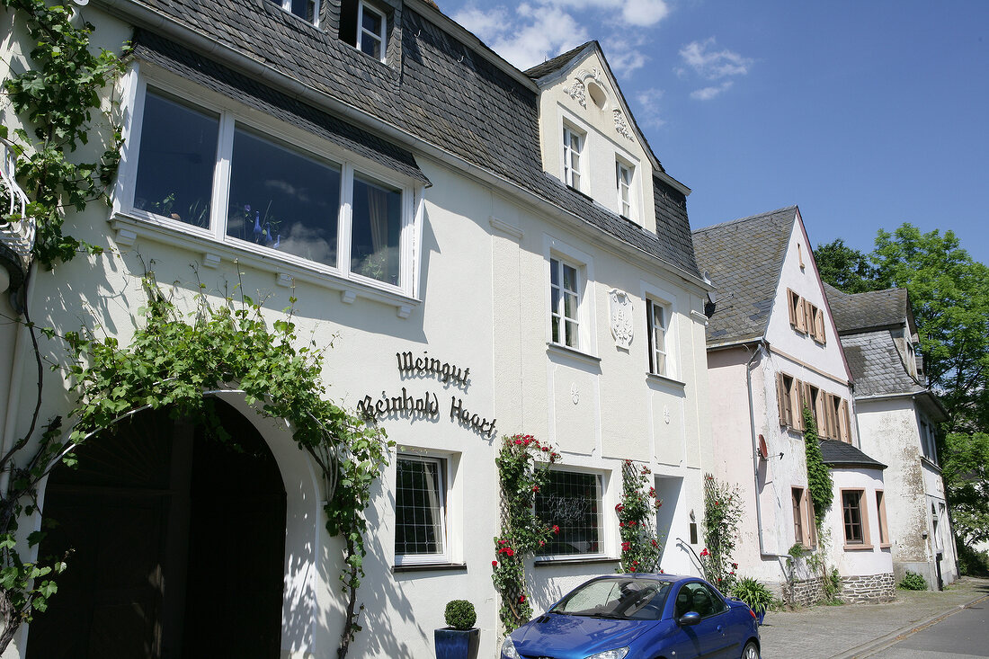 Reinhold Haart Weingut Mosel