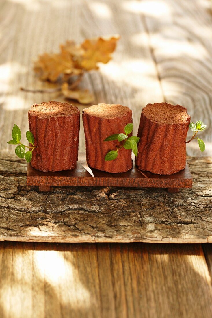 Chocolate mousse shaped like tree trunks