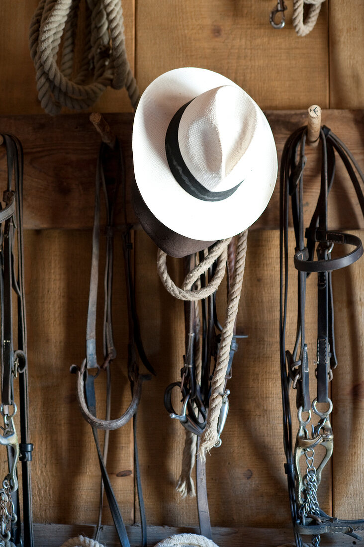 Horse bridles and white hat hanging on hook, Maremma, Italy