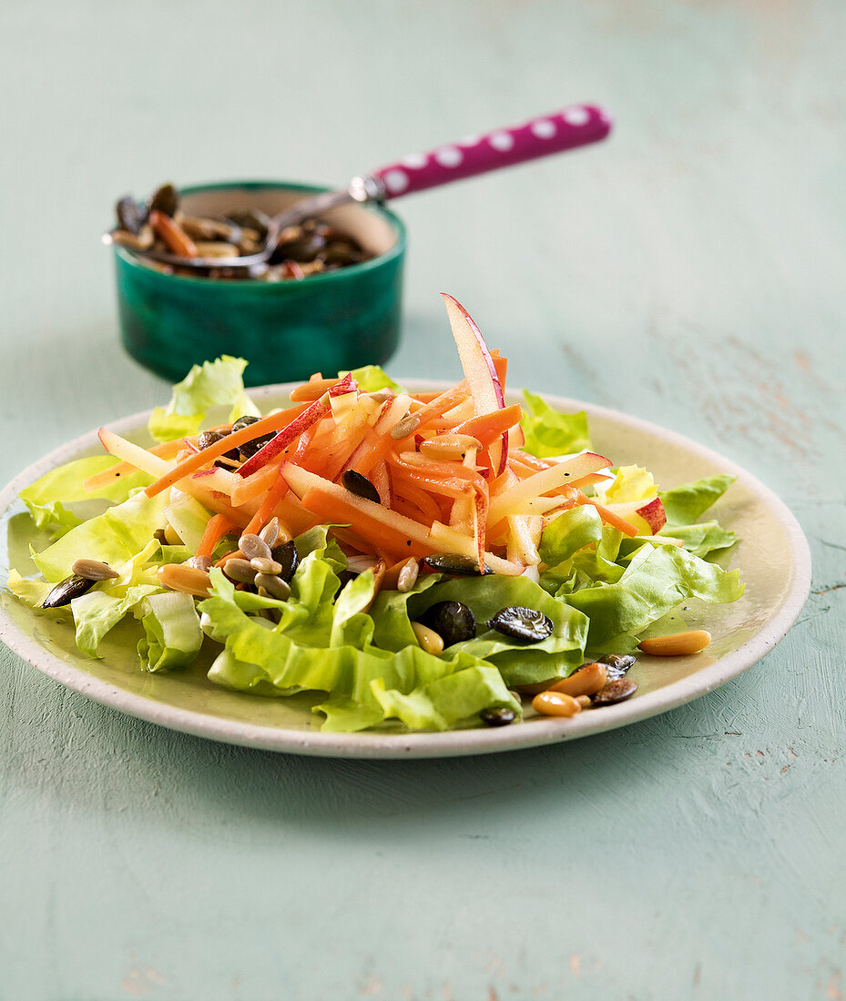 Jahreszeiten-Küche, Endivien Möhren Apfel Salat