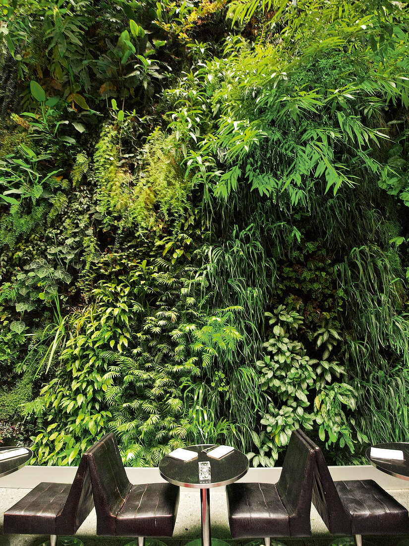 Paris: Restaurant Pershing Hall, Pflanzen-Wand, Tische, aussen