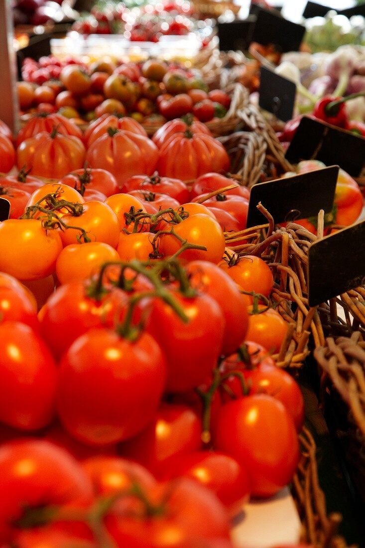 Stand of various tomatoes at Viktualienmarkt, Munich, Germany