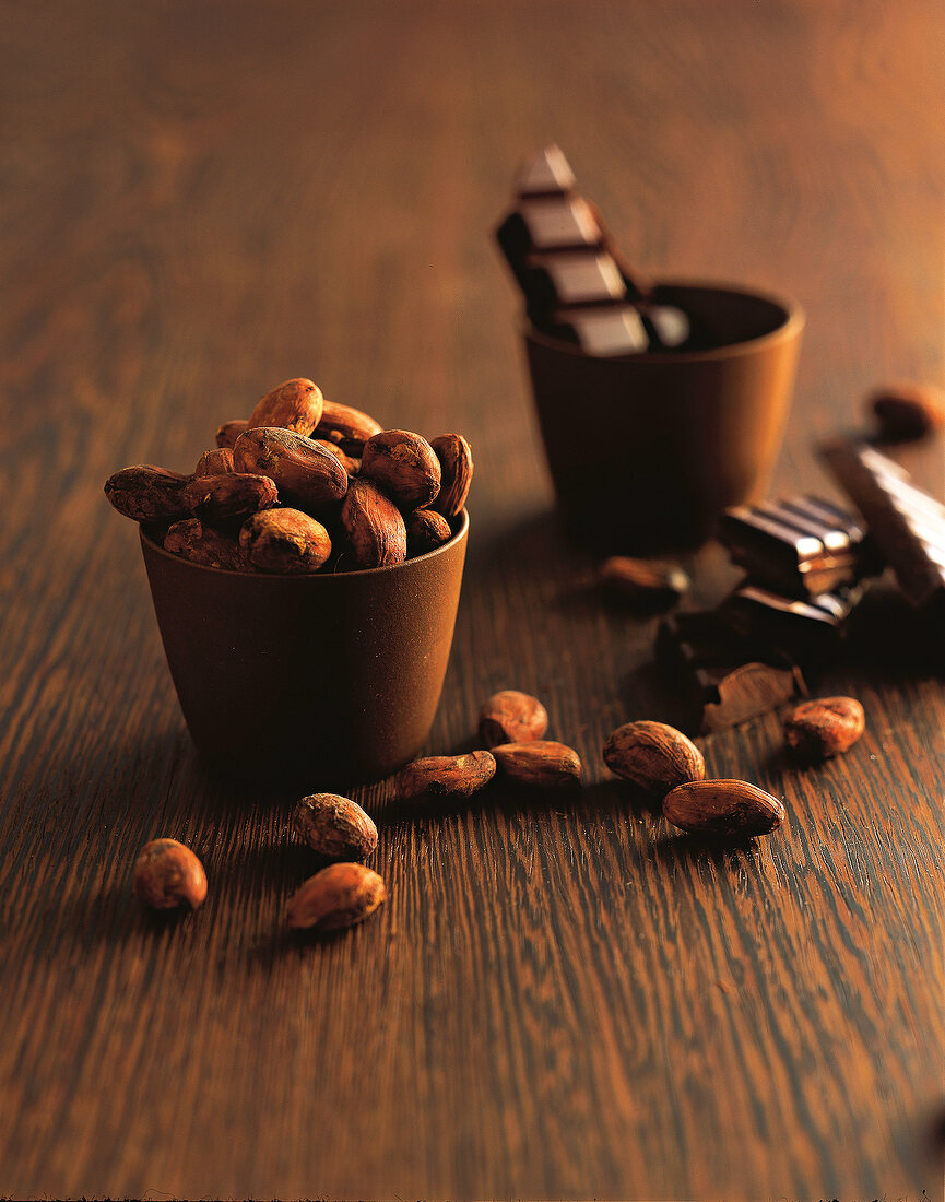 Schokolade, Kakaobohnen und Schokolade in einem Becher