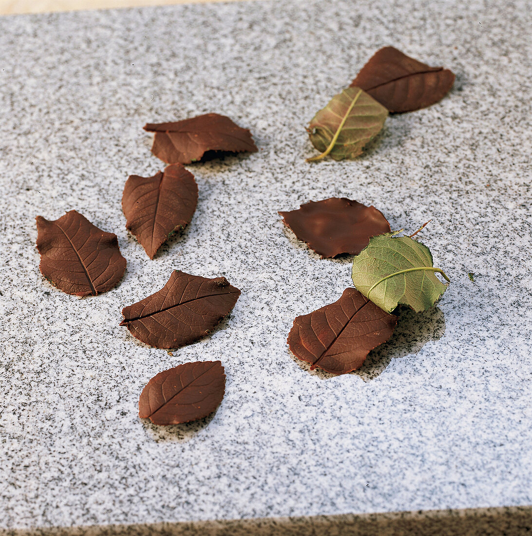 Schokolade, Schokoladenblätter von echten Blättern abziehen