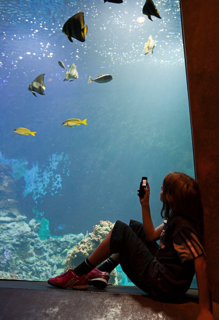 Girl sitting beside and taking photographs of tropical aquarium, Bremerhaven, Germany