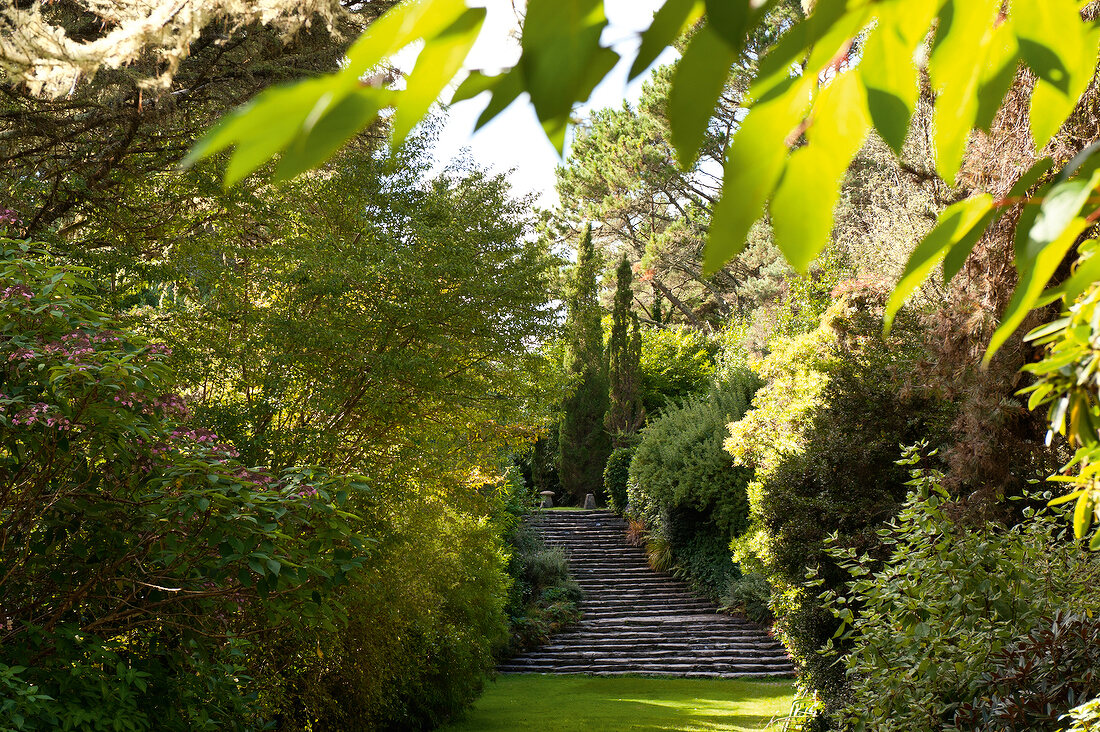 Ilnacullin garden stairs to Greek temple, Ireland