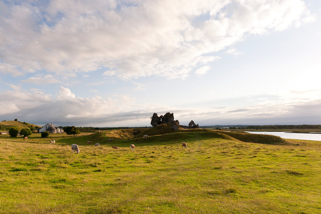 View of Clonmacnoise monks in County Offaly, Ireland