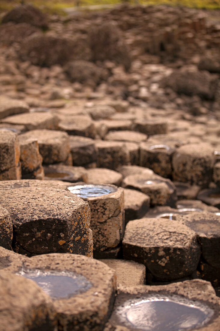 Irland: Antrim-Küste, Giant's Causeway, Steine.