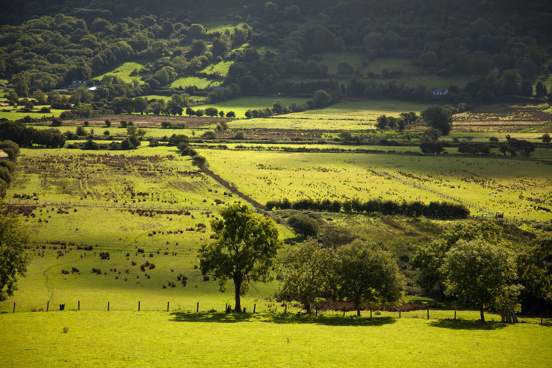 View of green pastures and hill at Antrim Coast, Ireland, UK
