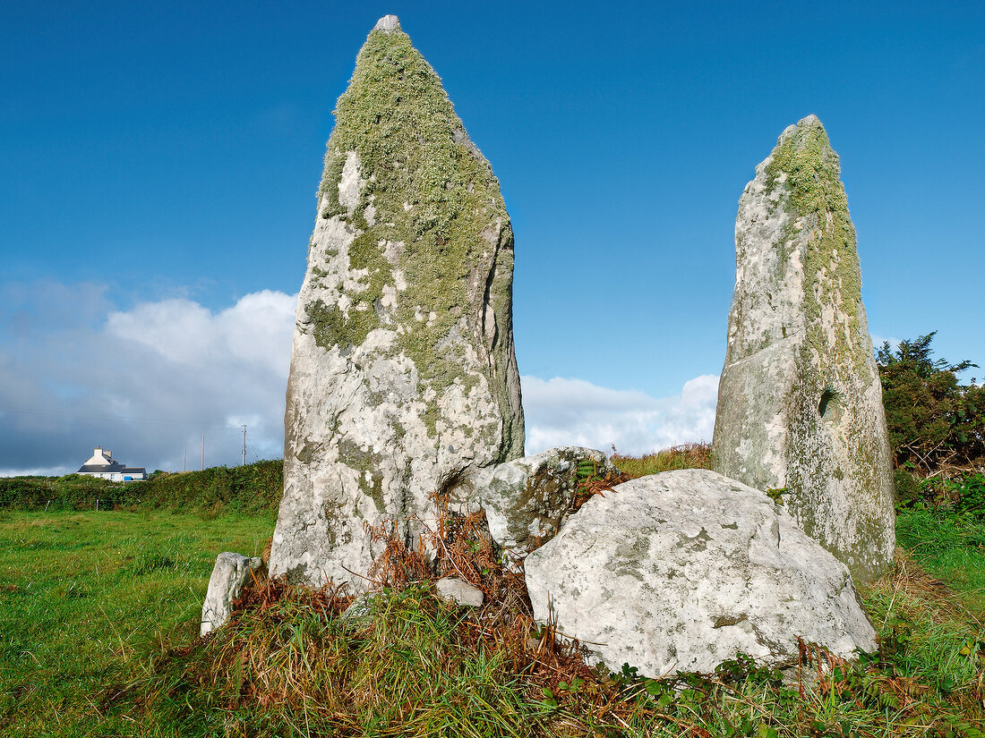 Irland: Cape Clear Island, Standing Stones.