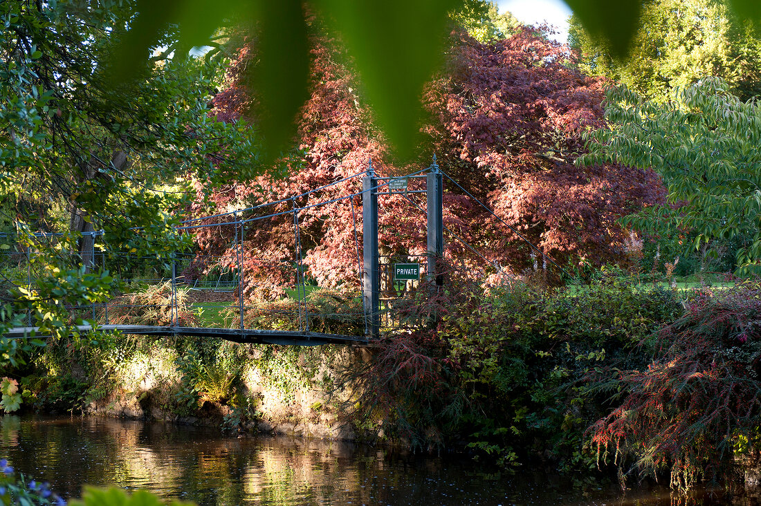 Irland: Ashford, Mount Usher Garden, Brücke über Gewässer, Bäume.